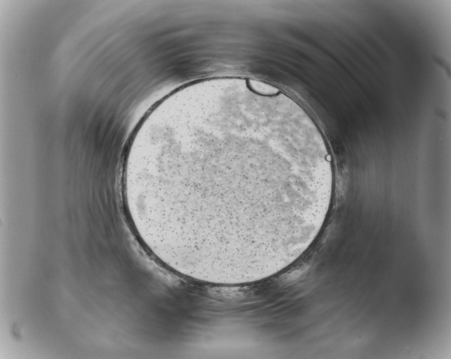 X0000103961149200810171856