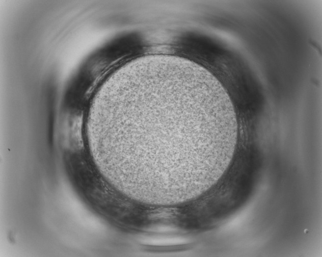 X0000103961150200810171856