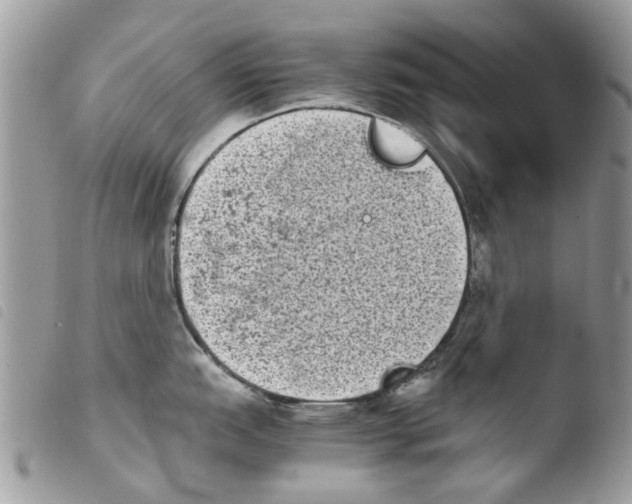 X0000103961151200810171856