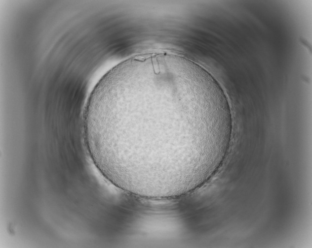 X0000103961152200810171856