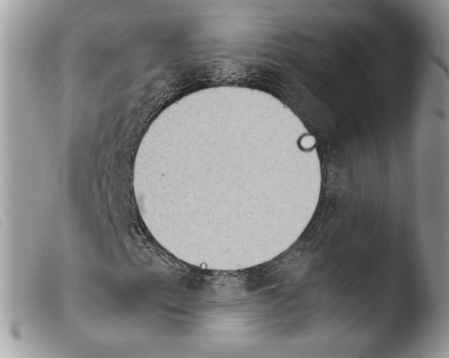 X0000103961153200810171856