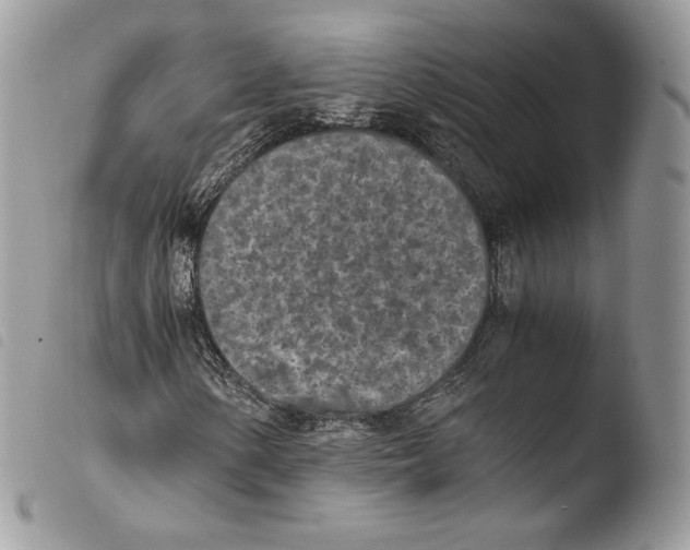 X0000103961154200810171856