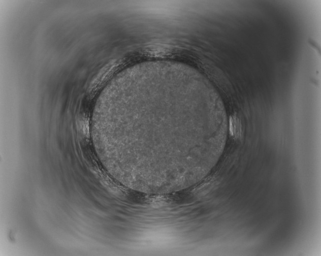 X0000103961155200810171856