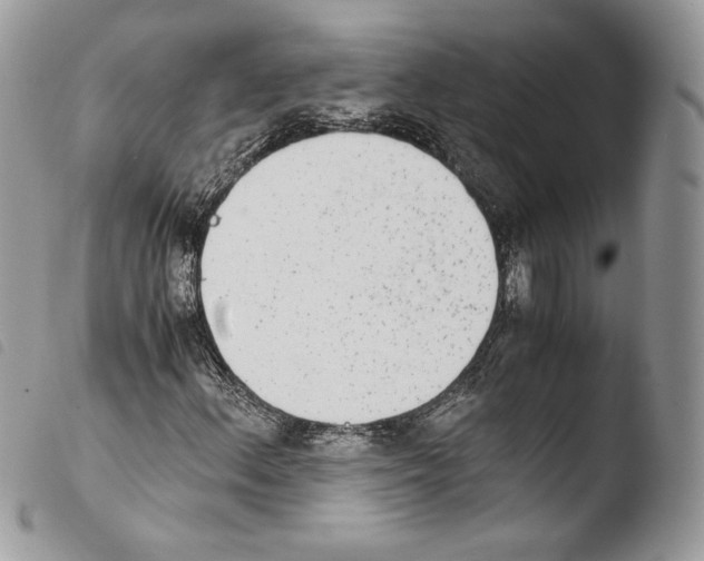 X0000103961156200810171856