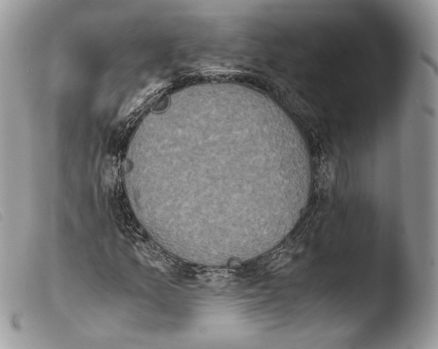 X0000103961157200810171856