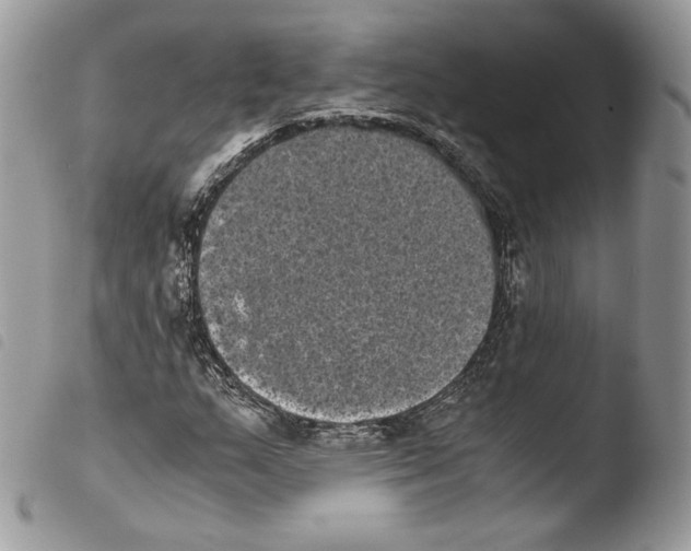 X0000103961159200810171856