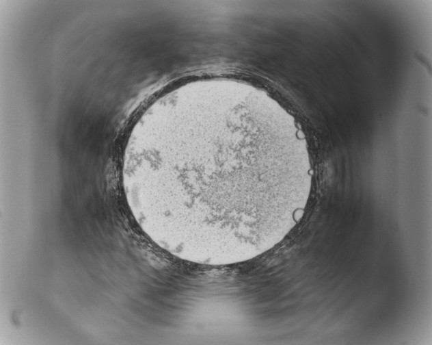 X0000103961160200810171856