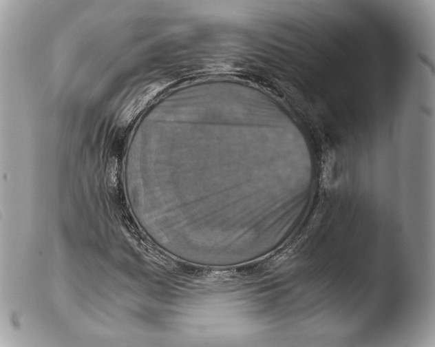 X0000103961161200810171856