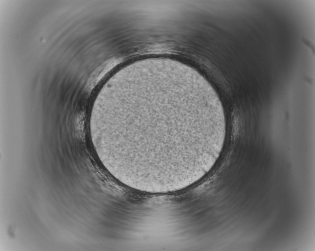 X0000103961162200810171856