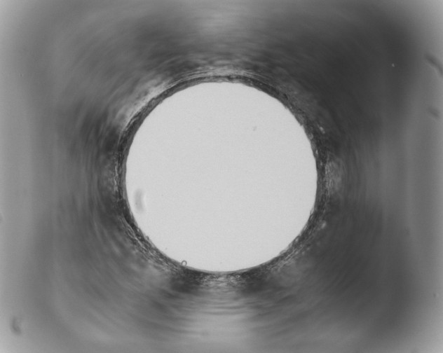 X0000103961165200810171855