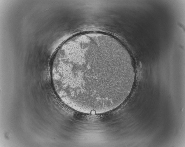 X0000103961167200810171855