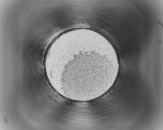 X0000103961168200810171855