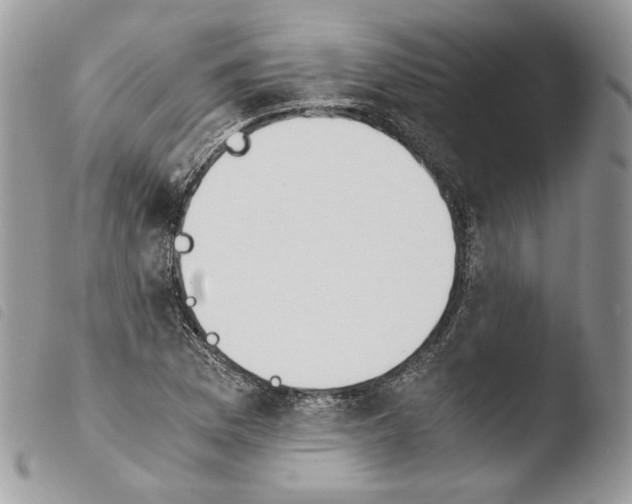 X0000103961169200810171855