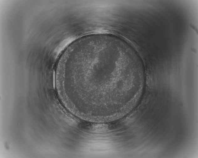 X0000103961171200810171855