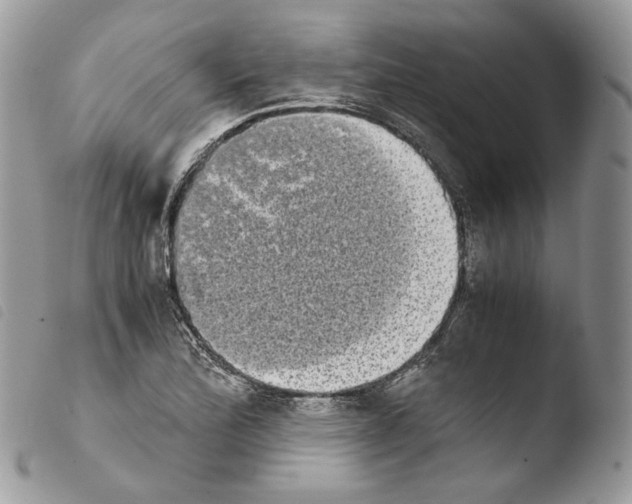 X0000103961172200810171855