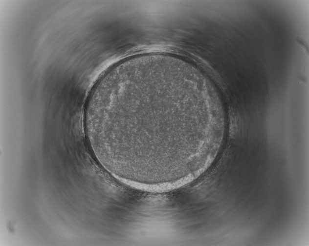 X0000103961174200810171855