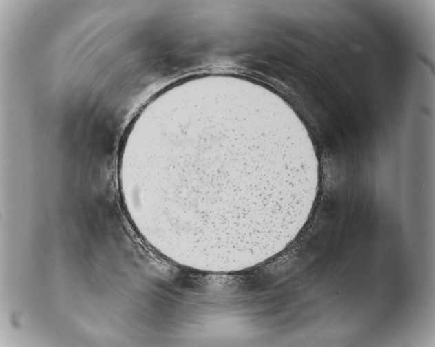 X0000103961176200810171855