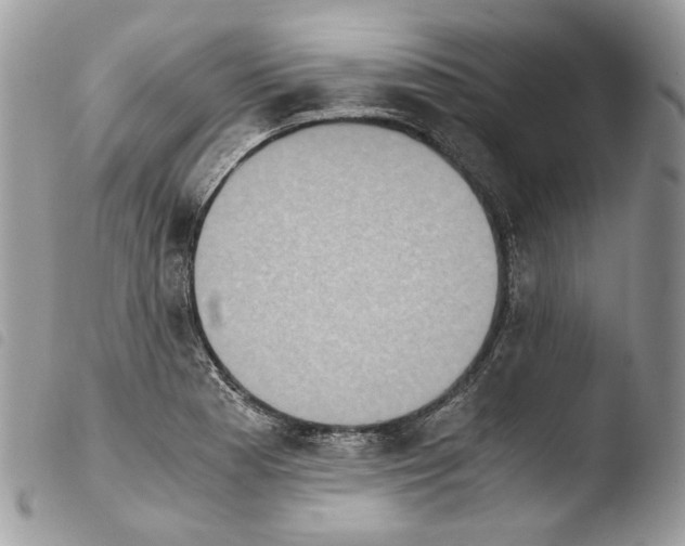 X0000103961177200810171855