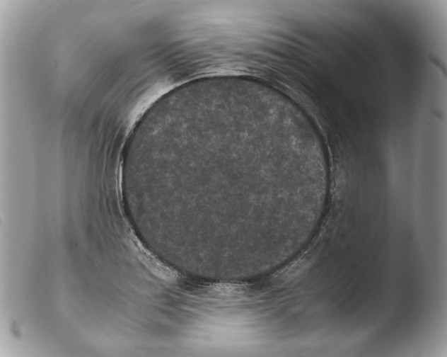 X0000103961179200810171855