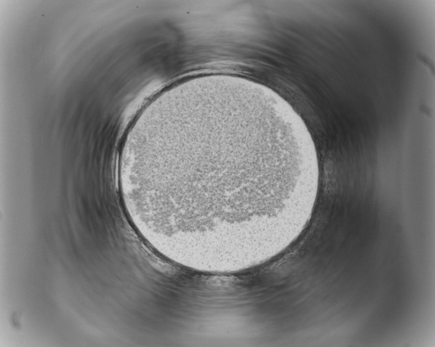 X0000103961180200810171855