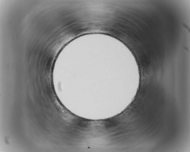 X0000103961181200810171855