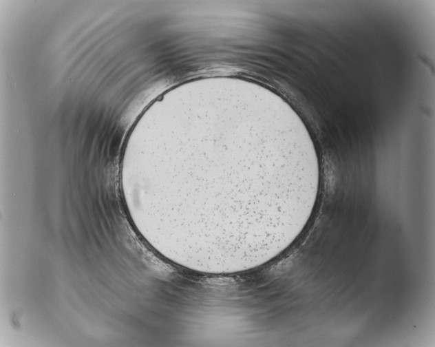 X0000103961186200810171855