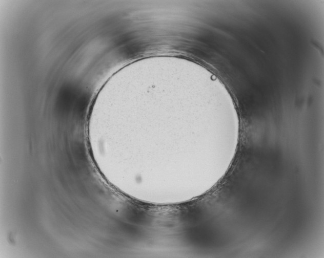 X0000103961187200810171855