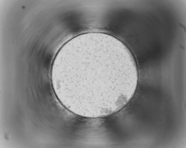 X0000103961189200810171855