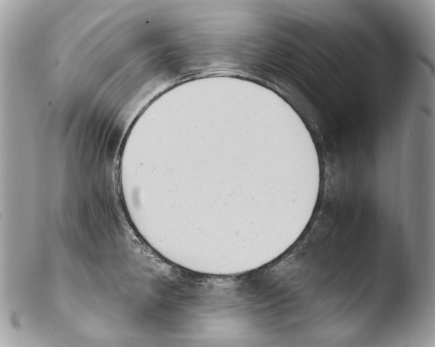 X0000103961190200810171855