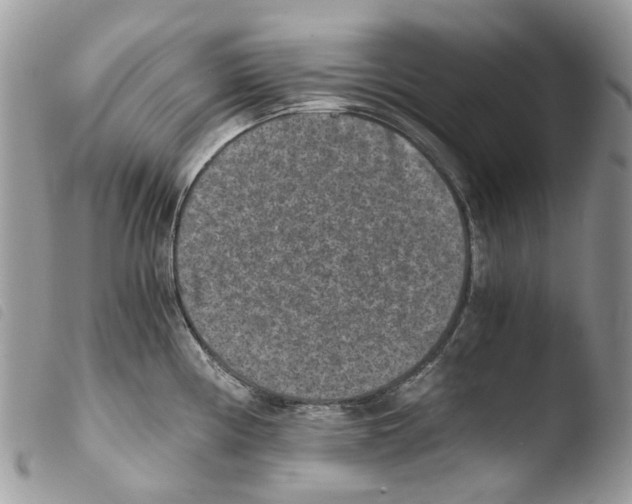 X0000103961194200810171855