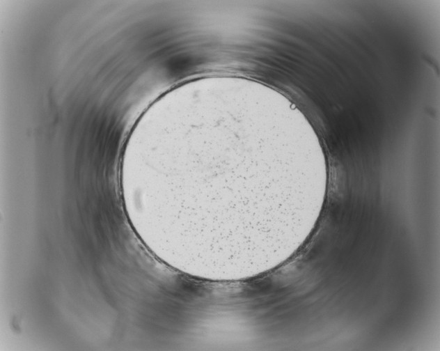 X0000103961196200810171855