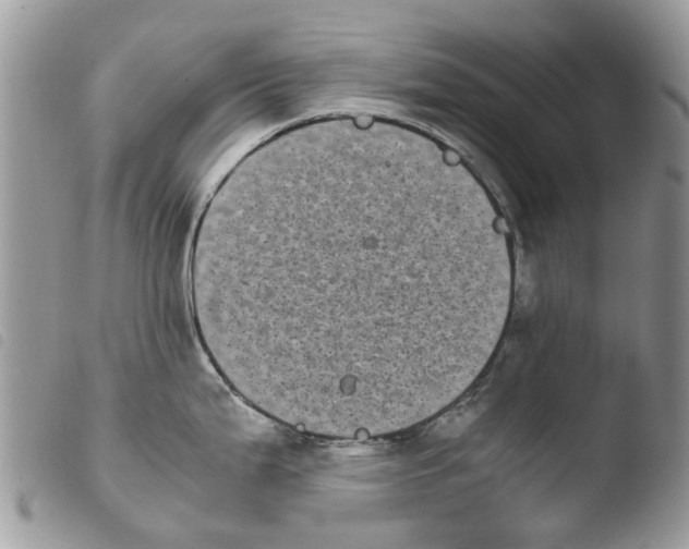 X0000103961199200810171855