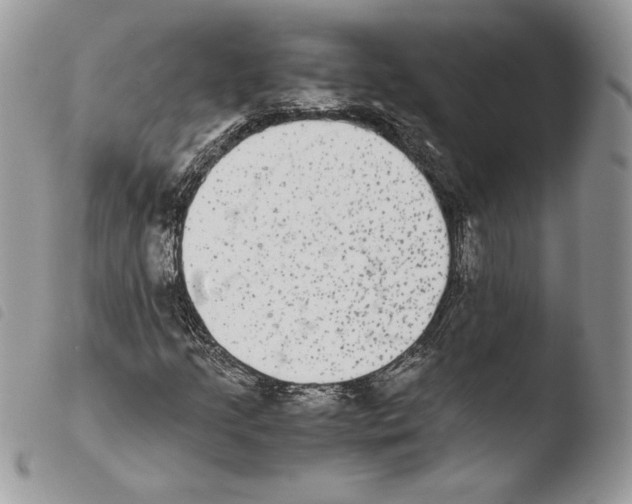 X0000103961205200810171854