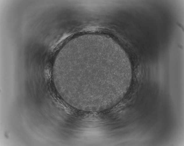 X0000103961206200810171854