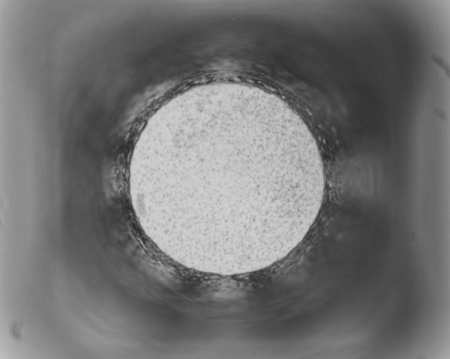 X0000103961207200810171854