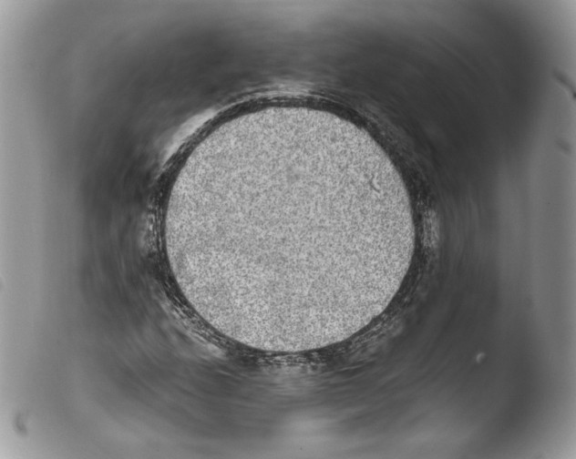 X0000103961208200810171854