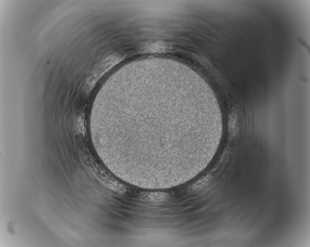 X0000103961209200810171854