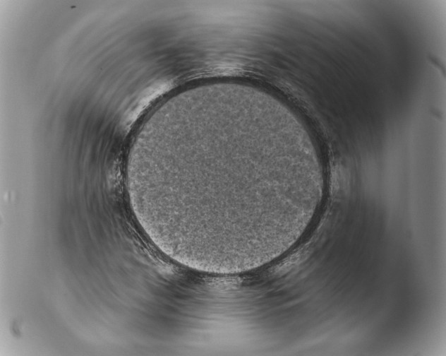 X0000103961210200810171854