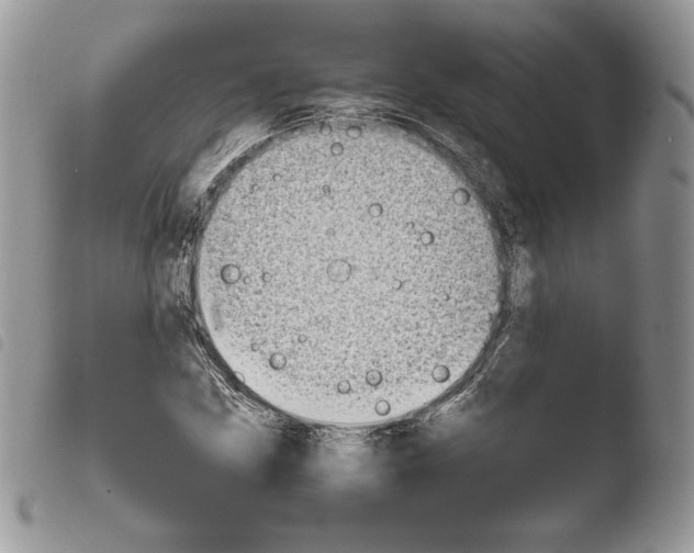 X0000103961211200810171854