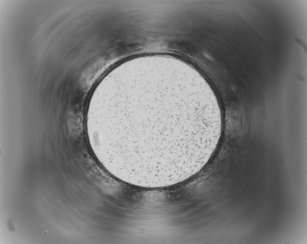 X0000103961212200810171854