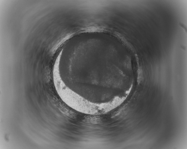 X0000103961213200810171854