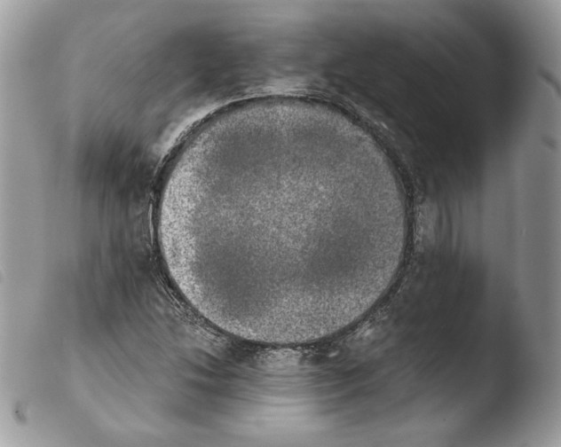 X0000103961214200810171854