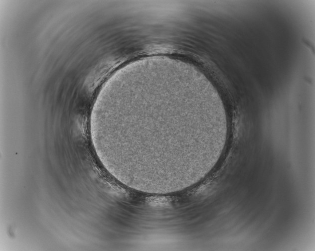 X0000103961217200810171854