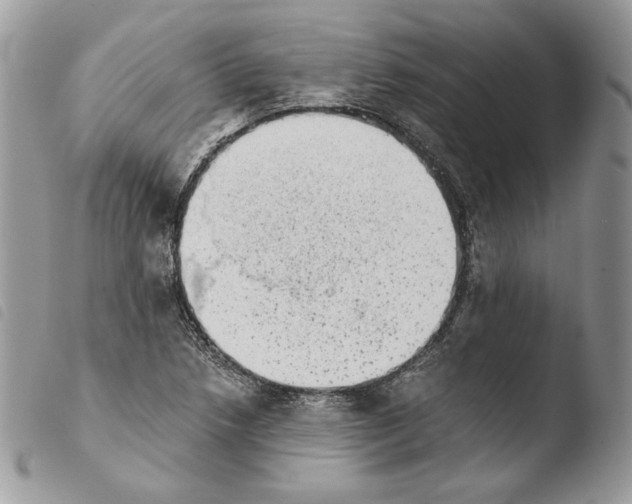 X0000103961218200810171854