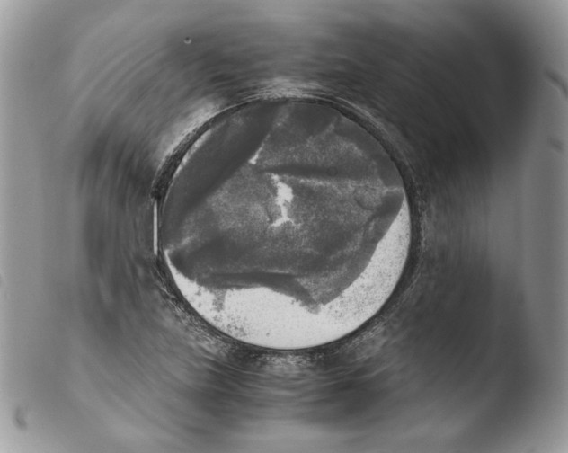 X0000103961219200810171854