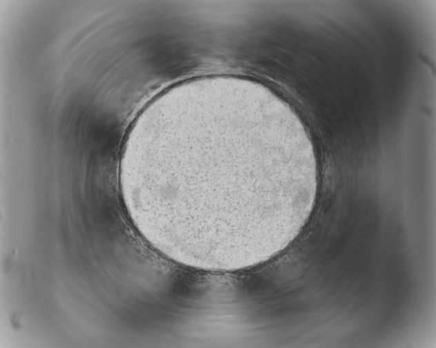 X0000103961220200810171854