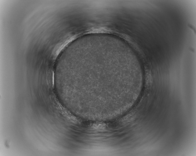 X0000103961221200810171854