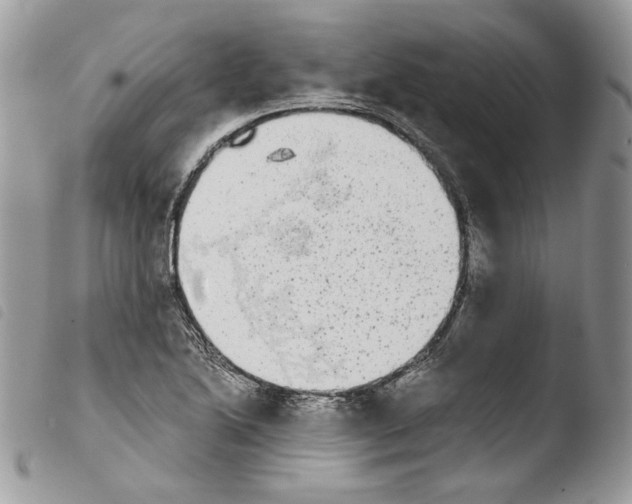 X0000103961222200810171854