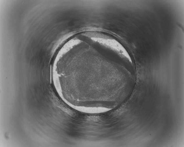 X0000103961223200810171854