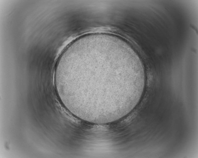 X0000103961224200810171854